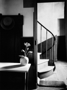 by Andre Kertesz
